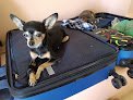 Abcentro Hospital Veterinario