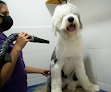 Abracitos Pet Estética Y Veterinaria