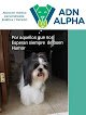 Negocio Adn Alpha Hospital Veterinario