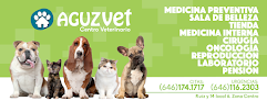 Negocio Aguzvet Centro Veterinario | Hospital Veterinario En Ensenada