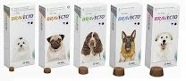 Negocio Amores Perros Veterinaria