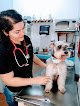 Negocio Animal Central