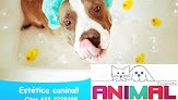 Negocio Animal Friends Veterinaria