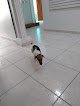 Animal Park Hospital Veterinario