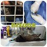 Bixoos. Hospital Clínico Veterinario. Mascotas/ Exóticos.