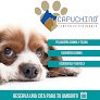 Negocio Capuchino Centro Veterinario