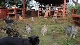 Cats&Co.