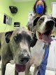 Negocio Centauro Quirón Clínica Veterinaria & Spa