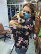 Negocio Centro Médico Veterinario