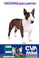 Centro Veterinario Akbal