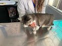 Negocio Centro Veterinario De Especialidades Ikal