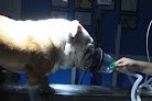 Centro Veterinario De Especialidades