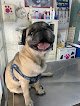 Negocio Centro Veterinario Del Sur