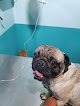Negocio Centro Veterinario Fray