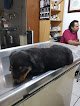 Centro Veterinario Hermosillo