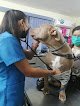 Negocio Centro Veterinario Hv Margod