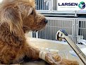 Negocio Centro Veterinario Larsen