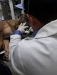 Negocio Centro Veterinario Las Casas