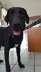 Negocio Centro Veterinario San José