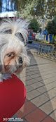 Negocio Centro Veterinario Toluca