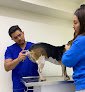 Negocio Centro Veterinario Vimont