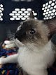 Negocio Cimivet | Veterinaria A Bajo Costo