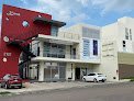 Clínica De Neurologia Veterinaria Sanu