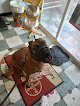 Negocio Clínica Veterinaria Alvaréz Yañez