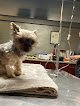 Negocio Clinica Veterinaria Animal Care Center