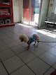 Negocio Clínica Veterinaria Animal´s