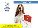 Clínica Veterinaria Bicus