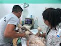 Negocio Clinica Veterinaria Caninna