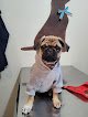 Negocio Clínica Veterinaria Canopolis