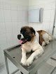 Negocio Clínica Veterinaria De La Alcaldía Tlalpan