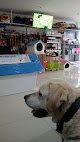 Negocio Clínica Veterinaria Del Dr. Memo