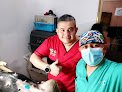 Negocio Clínica Veterinaria Dogmanía
