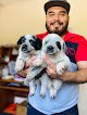Clínica Veterinaria Espinosa