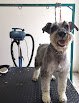 Clínica Veterinaria Fausto