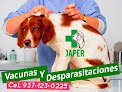 Negocio Clínica Veterinaria Japervet