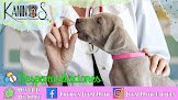 Negocio Clínica Veterinaria Kaninos Rm