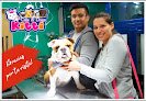 Negocio Clínica Veterinaria Kitti