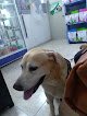 Clínica Veterinaria Los Almendros