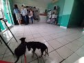 Negocio Clínica Veterinaria Medicans