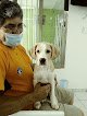 Clínica Veterinaria Mérida
