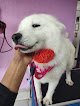 Clínica Veterinaria Mister Kan
