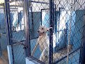 Clínica Veterinaria 