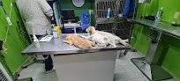 Negocio Clínica Veterinaria Mundo Animal