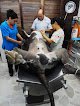 Clinica Veterinaria Pegaso