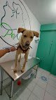 Clínica Veterinaria Pekitos