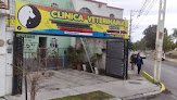 Negocio Clínica Veterinaria Pequeñas Servicio Especializado